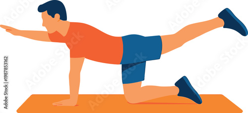 Man Doing Bird Dog Core Stability Exercise Fitness Illustration