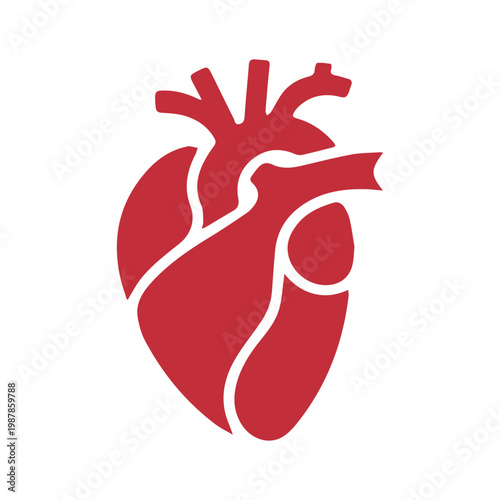 Human anatomical heart icon red stylized vector illustration for medical and healthcare concept.