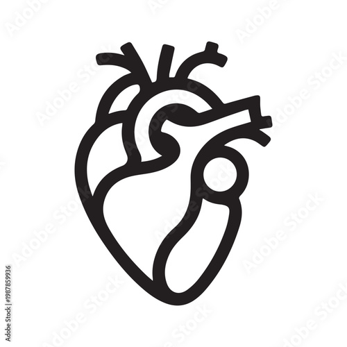 Anatomical human heart icon vector illustration in minimalist line art style, medical and healthcare concept.