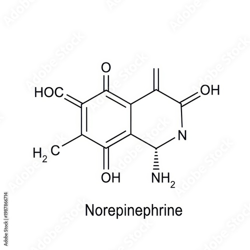 Chemical Structure of Norepinephrine on White Background.