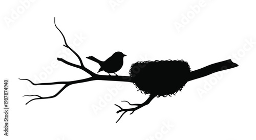 Bird perched near a nest on a branch black silhouette