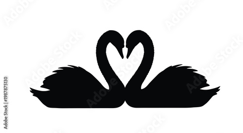 Two swans forming a heart shape with their necks a striking silhouette