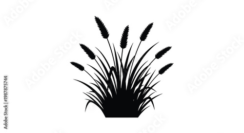Black silhouette of wheat stalks and grasses against a white background