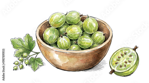 Gooseberries in bowl and on branch with leaf on checkered background.