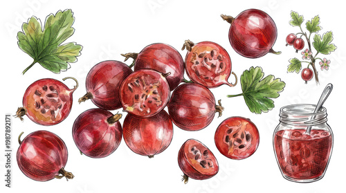 Red gooseberries jam and leaves on checkered background.