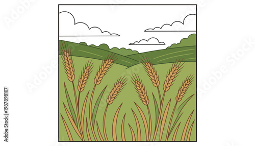 Wheat field illustration with green hills and blue sky background