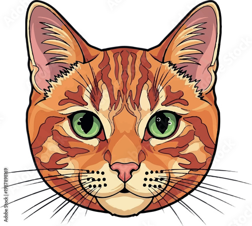 Vibrant orange tabby cat face, cartoon feline illustration, green eyes, colorful animal design