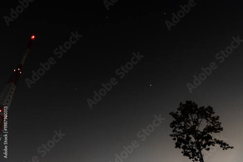 Night Sky with Light Rays and Tree Silhouette