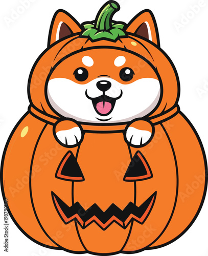 Cute Halloween shiba inu dog wearing a pumpkin costume for 