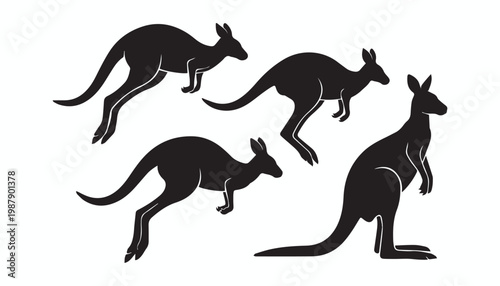 black and white silhouette set of kangaroo very high quality vector illustration.