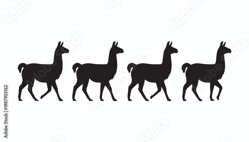 black and white silhouette set of llama very high quality vector illustration.