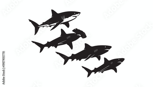 black and white silhouette set of shark very high quality vector illustration.