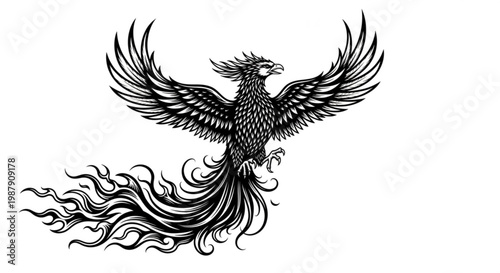 Beautifully rendered line art illustration showcasing a single human eye with intricate eyelashes and a shapely eyebrow, ideal for beauty and anatomy concepts