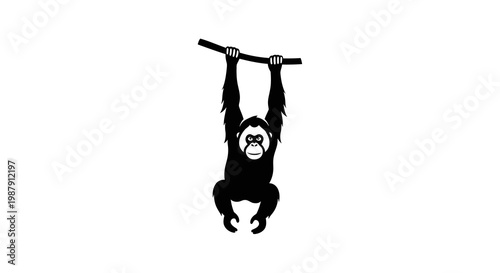 Silhouette of an orangutan hanging from a branch on a white background