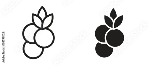 Bild auf Leinwand Blueberry icon symbol, black style vector icons pack