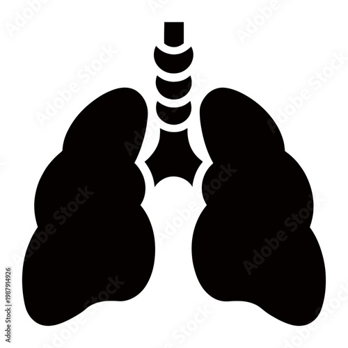 Vector of human lungs with trachea