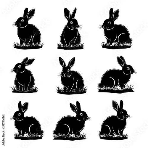 A group of black rabbits sitting in different positions Vector, illustration