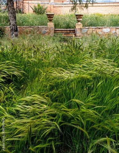 Springtime in the countryside of Alicante, Spain
