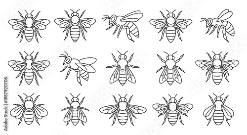 Collection of linear bee illustrations in various poses silhouette