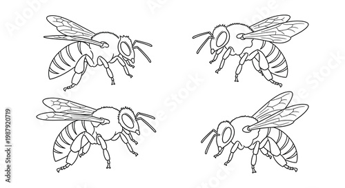 Four honeybees shown in a detailed black outline silhouette