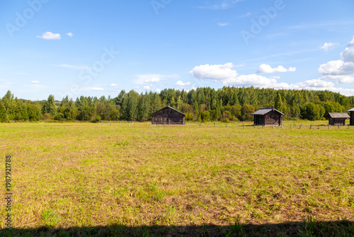 Rural Wooden Houses in Summer Countryside