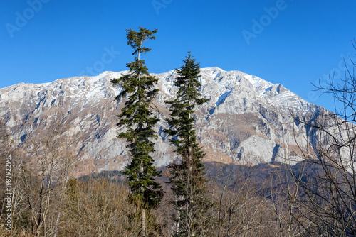 Autumn, a fragment of a mountain range in the light of the daytime sun, dried vegetation and nature walks
