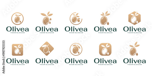 A collection of olive oil logos with a minimalist and clean style, featuring olive and oil drop icons for natural and beauty brand identities.