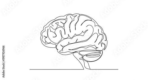 Minimalist single line drawing of a human brain, symbolizing thought, intelligence, and creativity.