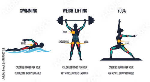 Comparative Analysis Of Fitness Disciplines: Swimming, Weightlifting, And Yoga Explained Fully
