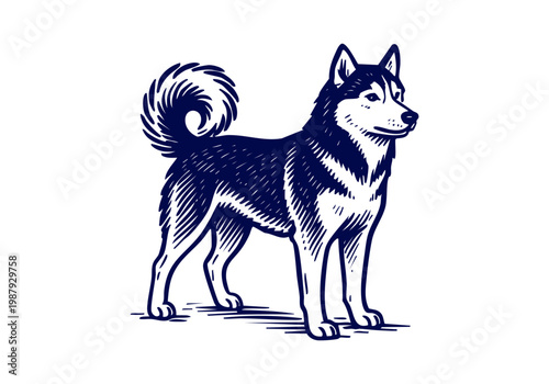 Siberian Husky Dog hand drawn simple sketch vector illustration