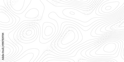 Photography Topographic map background seamless contour lines pattern vector illustration for cartography and terrain elevation concepts, topographic map patterns, topography line map