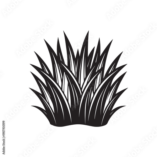 Black silhouette of spiky plant with many sharp pointed leaves on white background  simple graphic design element for decoration and design