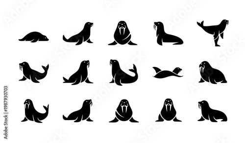 Minimal Seal Sea Lion Walrus Silhouette Icon Set Vector
30 Keywords