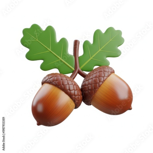 Two acorns with a single oak leaf attached to the stems in a white background.