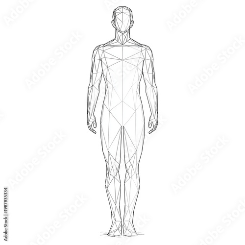 White anatomical human body model standing upright detailed structure isolated on a transparent background