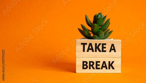 Succulent Plant Take a Break