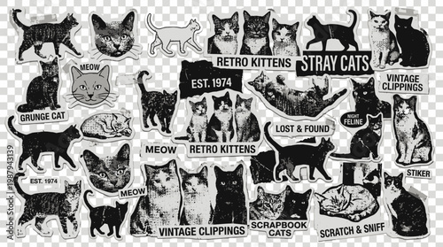 Retro Cat Stickers Collection: Vintage Feline Art, Grunge & Stray Cat Designs