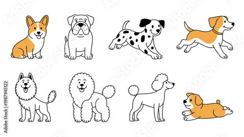 Funny Dog Breeds Line Art Set  Corgi, Bulldog, Dalmatian and Playful Pet Poses Collection