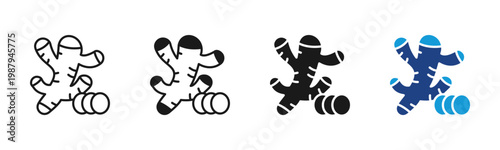 Ginger icon set multiple style collection