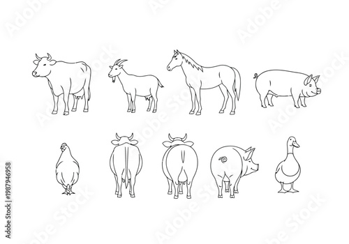 Sketch of various farm animals and poultry in simple line drawings