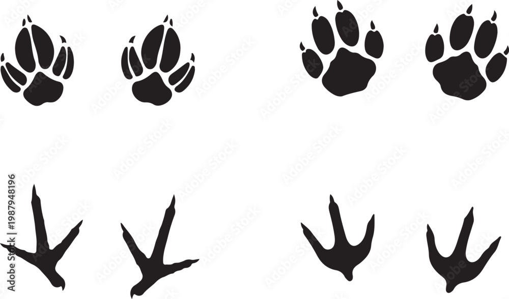Fototapeta premium Animal footprints, paw prints, bird tracks, wildlife footmarks, black vector icons