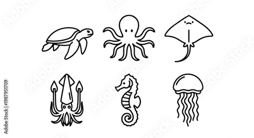 Whimsical illustrations of six different marine creatures and objects