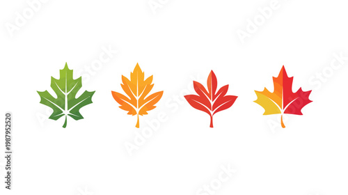 Four colorful, stylized leaves in different fall colors arranged on a white background