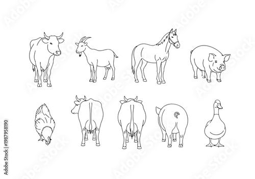 A diverse set of eight farm animals depicted in simple line drawings