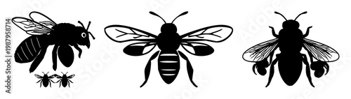 Solid black icon, white background: swarm intelligence bee cluster set with simple line art design featuring sketches, drawings, vector graphics with minimalist and simple illustrations