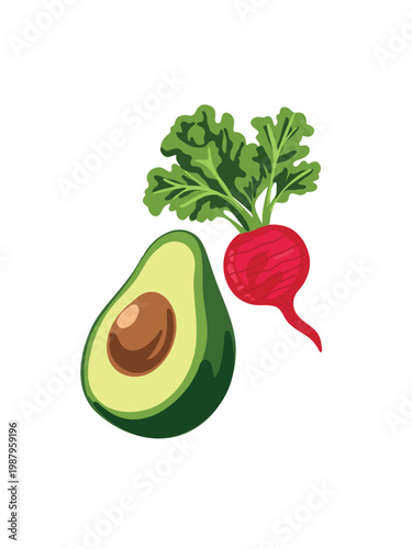 realistic vector illustration avocado and radish arrangement