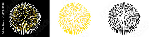 手書き風の豪華な錦冠菊の花火イラスト3種類セット