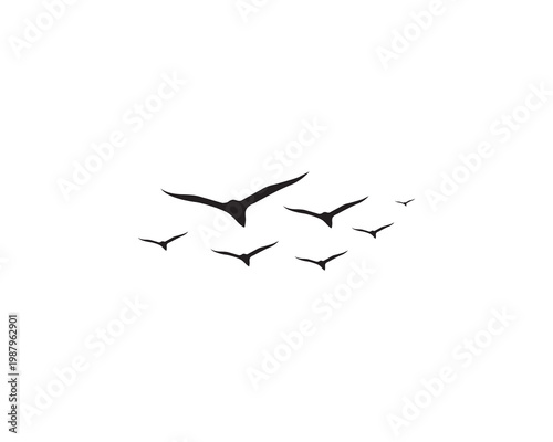 a flock of birds silhouetted. Group of birds in scattered flight. Flying bird isolated on white background.