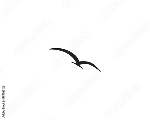 Flying bird silhouette isolated on white background.