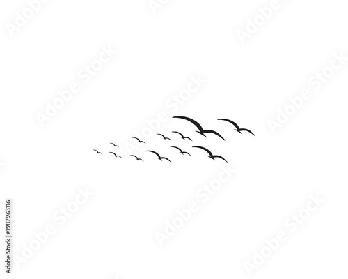 a flock of birds silhouetted. Group of birds in scattered flight. Flying bird isolated on white background.